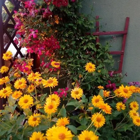 Prázdninový dům Dom Borowski *