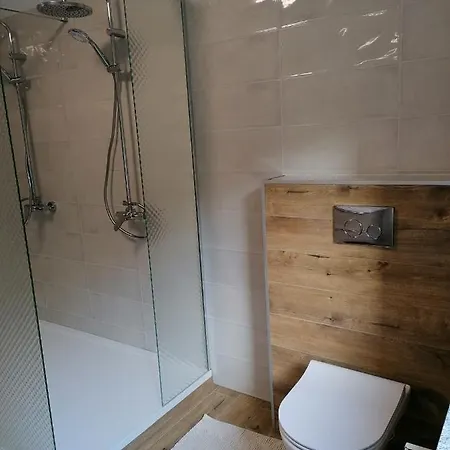 Dom Borowski بيت للعطل Bukowiec (Lower Silesia)